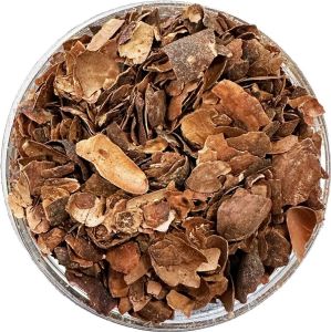 Cacaoschil Geroosterd Gesneden