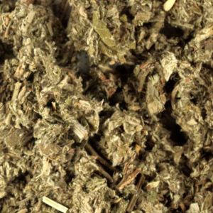 Bijvoet Kruid Gesneden (Artemisia vulgaris)
