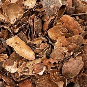 Cacaoschil Geroosterd Gesneden