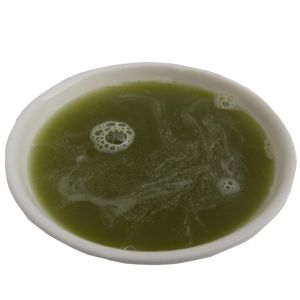 Premium Matcha Groene Thee 30g