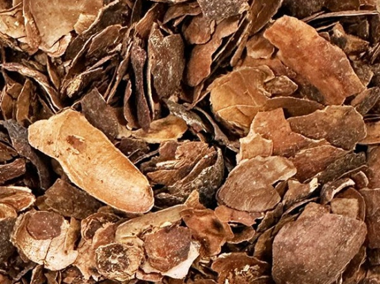 Cacaoschil Geroosterd Gesneden