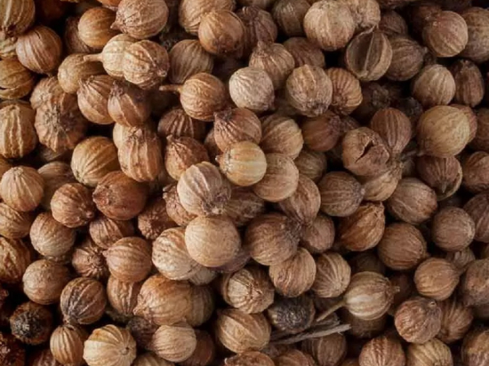 Koriander Zaad Heel (Coriandrum sativum L.)