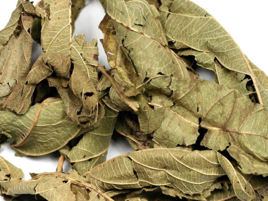 Sisline Thee Blad Heel (lippia multiflora chevalier)