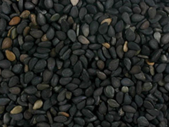 Sesam Zaad  Zwart (ongeschild) Heel (Sesamum indicum)