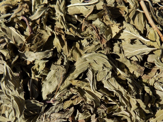 Pepermunt Blad Heel (Mentha × piperita)