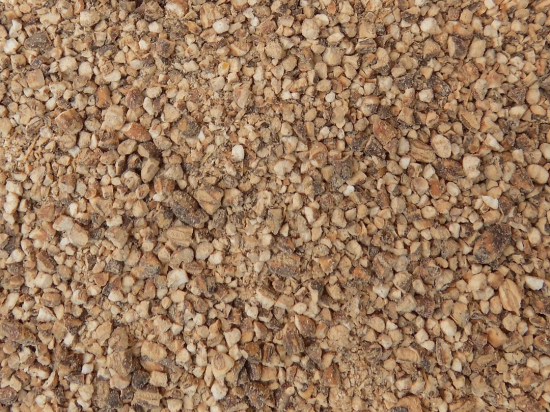 Mugicha (Barley Tea)