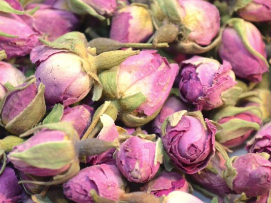 Roze Rozenknoppen Heel