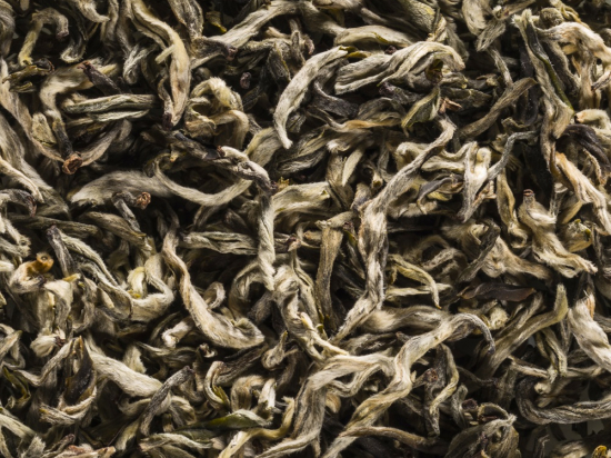 China White Butterfly