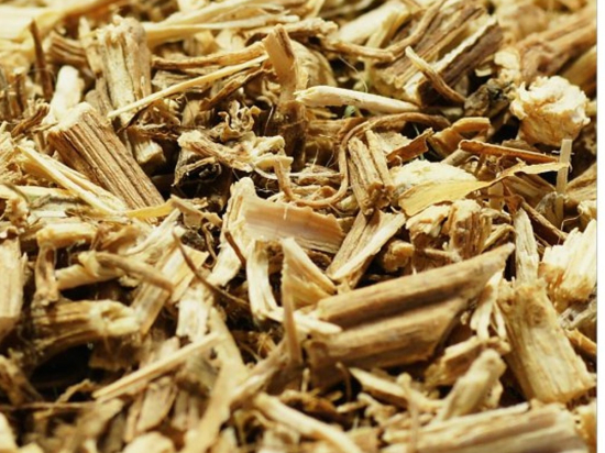 Grote Brandnetel Wortel Gesneden (Urtica dioica)