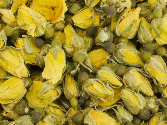 Gele Rozenknoppen Heel