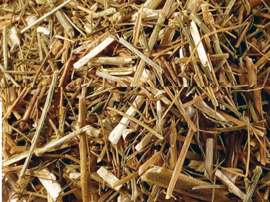 Aspergewortel Gesneden (Asparagus officinalis)