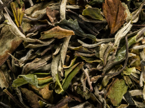 Pai Mu Tan Special Grade 6900