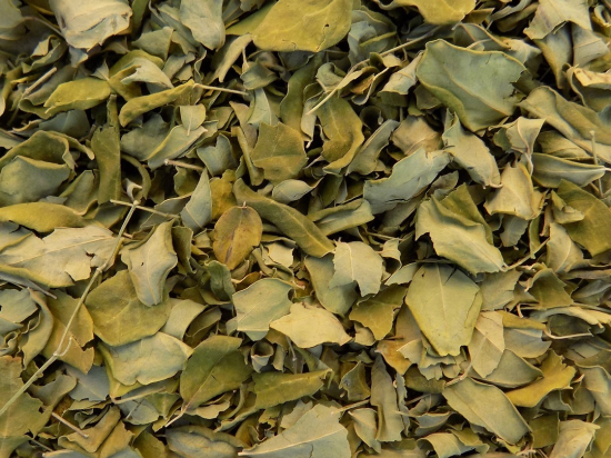 Moringa Oleifera Blad Heel