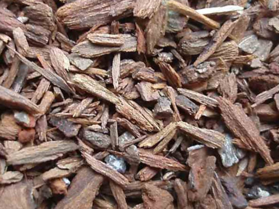 Rode Kina Schors Gesneden (cinchona) quina