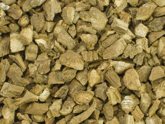 Klitwortel Gesneden (Arctium lappa)