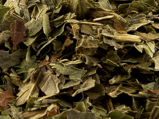 Zwarte Bes Blad Gesneden (Ribes nigrum)