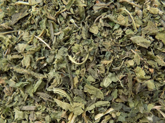 Brandnetelthee (urtica dioica)