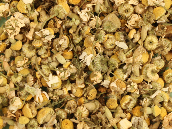 Echte Kamillethee Heel (Matricaria recutita)