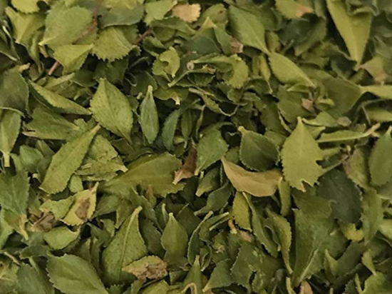 Buchu Blad Gesneden (Agathosma betulina)