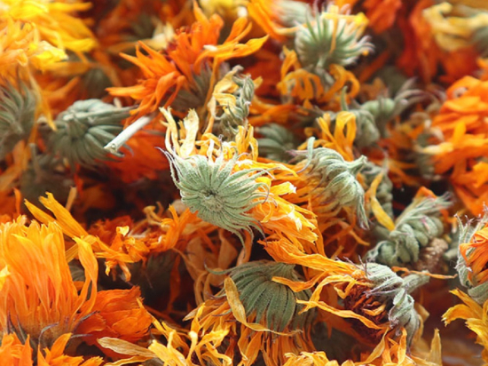 Goudsbloem met Kelk Heel (Calendula Officinalis)