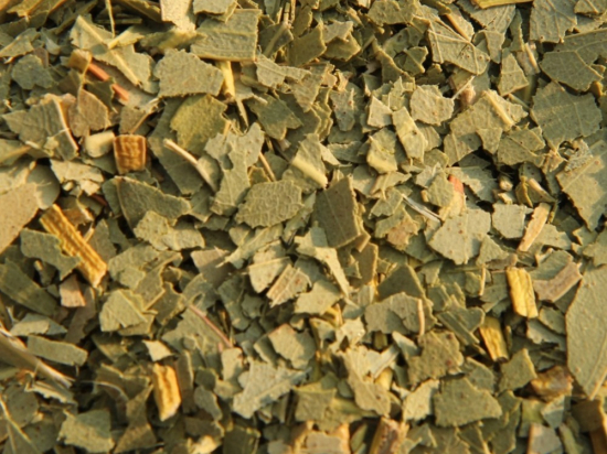 Eucalyptus Blad Gesneden (eucalyptus globulus)