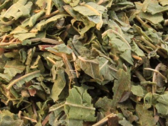 Citroenverbena Blad Gesneden (Aloysia citriodora) Verveine