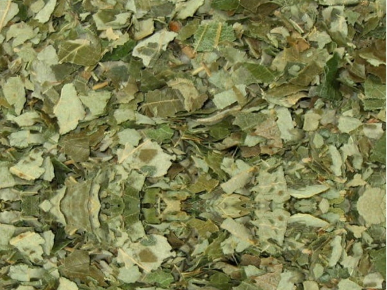 Lindeblad Gesneden (Tilia)