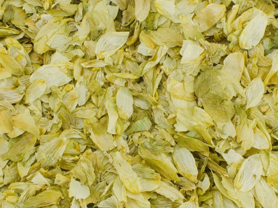 Hop Gesneden (Humulus lupulus)