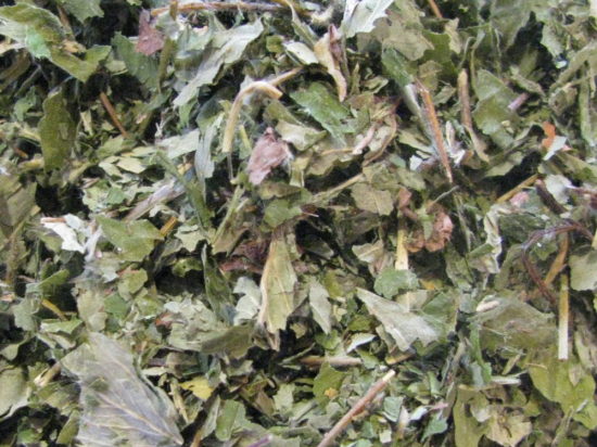 Aardbeienblad Gesneden (Fragaria vesca)