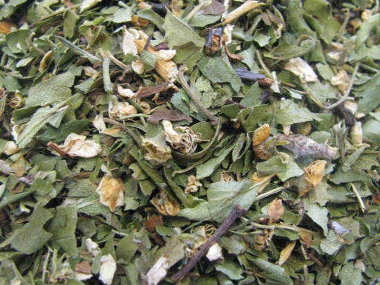 Meidoornblad met Bloesem Gesneden (Crataegus)