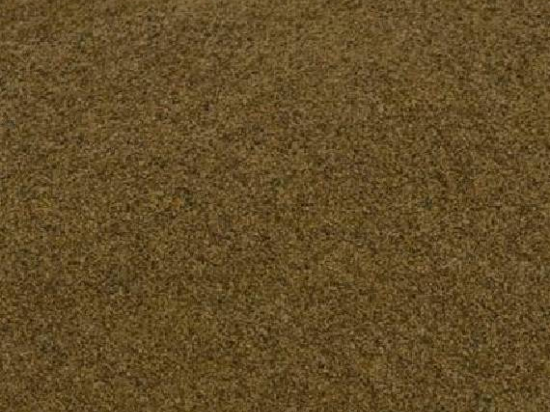 Riemwier poeder (Himanthalia elongata)