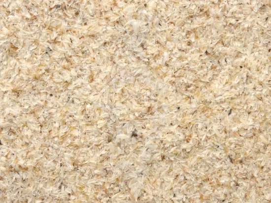 Psyllium husk poeder (Plantago ovata)