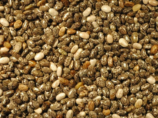 Chiazaad Heel (salvia hispanica)