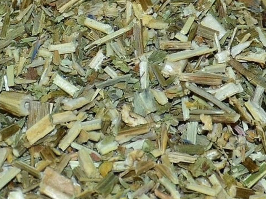 Cichorei Kruid Gesneden (Cichorium Intybus)