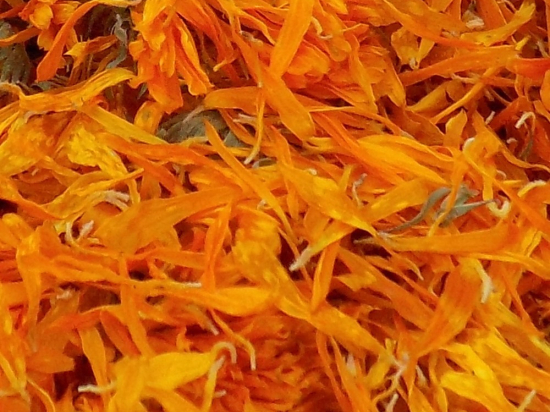 Goudsbloembloesemblad Heel (Calendula officinalis)