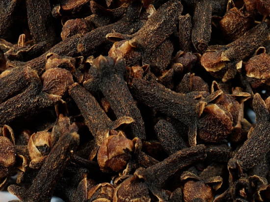 Kruidnagel Heel (Syzygium aromaticum, Eugenia aromatica, Eugenia caryophyllata)