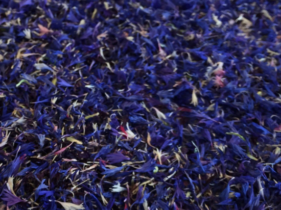 Korenbloem Bloesem Blauw Heel (Centaurea cyanus)