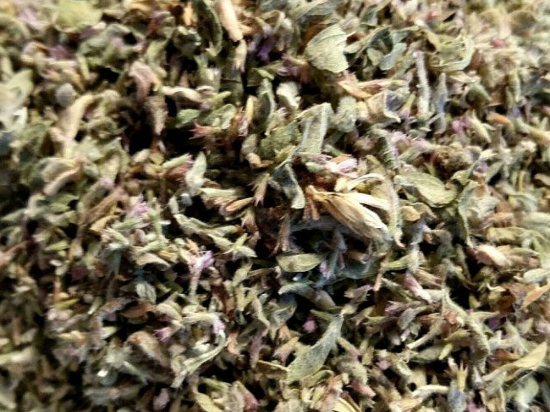 Poleimunt Kruid Gesneden (mentha pulegium)