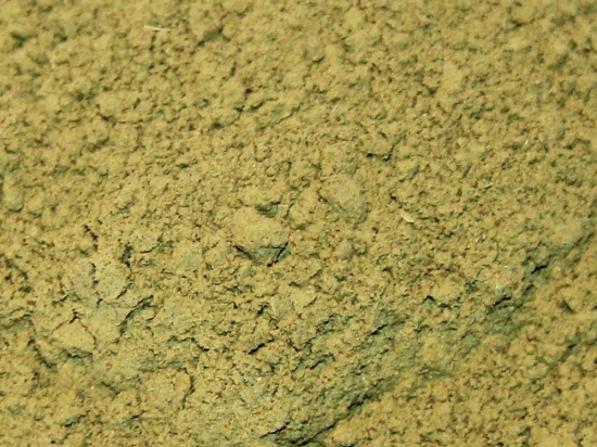 Cistus Incanus Poeder (Cistus incanus L. Pandalis)