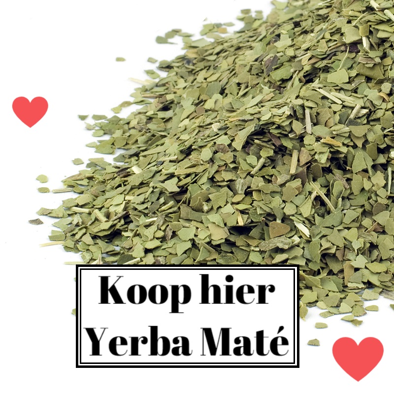 Yerba Mate kopen