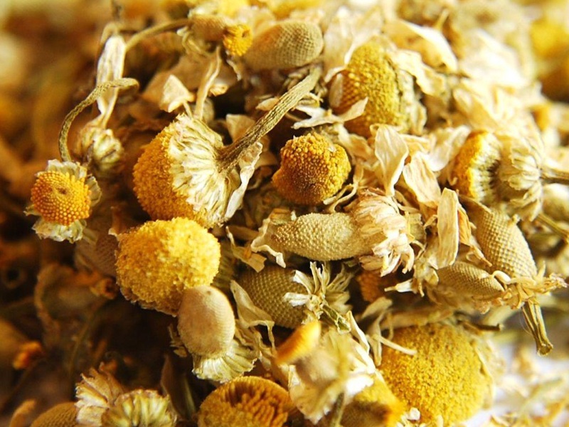 Infusies en kruiden