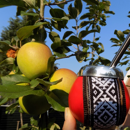 Yerba Mate kalebas
